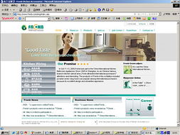 深圳网站设计公司 打造卓越企业形象的数字化门户