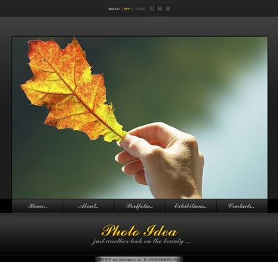 探索全球视野 精选国外网页与网站设计模板素材