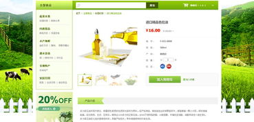 网页设计开发中的关键要素 动画设计与后台系统集成